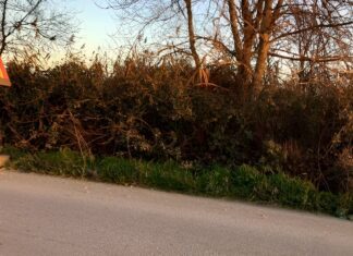 Επικίνδυνα «σαμάρια» τρομάζουν στο δρόμο Τυρνάβου – Γυρτώνης