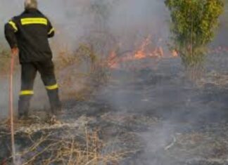 Φωτιά στη Λάρισα δίπλα σε κέντρο εκδηλωσεων: Εκτρέπουν την κυκλοφορία – Αυξημένες δυνάμεις της πυροσβεστικής