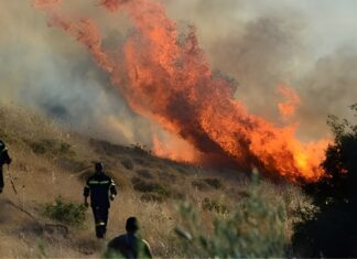 Κι άλλη μεγάλη φωτιά έξω από τη Λάρισα!