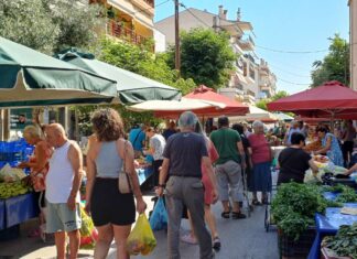 Λάρισα: Απλησίαστες τιμές στη Λαϊκή στο Σταθμό γι’ αυτά τα προίοντα – Τι λέει ο κόσμος (ΦΩΤΟ)