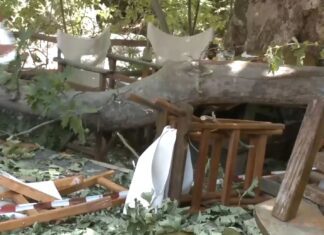 Τραγωδία στο Λιτόχωρο: Έπεσε κλαδί από πλάτανο και σκότωσε 44χρονη Καρδιτσιώτισσα – Δέκα άτομα προσπαθούσαν να το σηκώσουν κλαδί – Σοκάρουν οι εικόνες