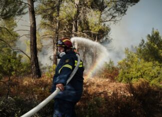 Σε συναγερμό για φωτιές το μεγαλύτερο μέρος της χώρας –Λεοντάρης: ετοιμότητα στη Θεσσαλία (video)