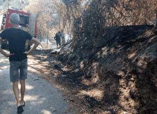 Έγκαιρη η επέμβαση της πυροσβεστικής στη φωτιά στον Αγιόκαμπο (ΦΩΤΟ)
