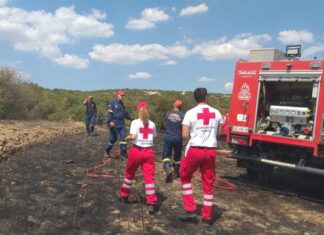 Βαριά «καμπάνα» σε εταιρεία για τη φωτιά που προκλήθηκε στο Παλαιόκαστρο Ελασσόνας – Πρόστιμο κοντά στα 7 χιλιάρικα