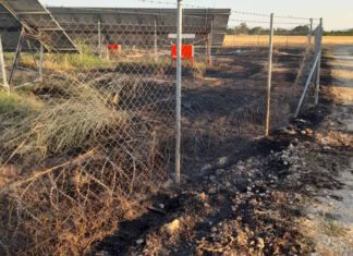 Λάρισα: Φωτιά στα Δελέρια: Μεγάλη ζημιά σε φωτοβολταϊκό πάρκο – Εμπρηστές βάλανε στόχο το σημείο