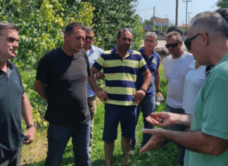 Στα χαλαζόπληκτα της Αγιάς κλιμάκιο της Περιφέρειας Θεσσαλίας και του ΕΛΓΑ