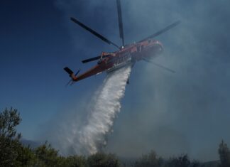 Λάρισα: Κι άλλη φωτιά στην περιοχή της Αμυγδαλιάς – Καίει δασική έκταση – Μεγάλη κινητοποίηση με επίγειες και εναέριες δυνάμεις