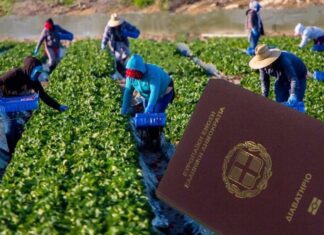 Λάρισα: Συνελήφθη 55χρονη εργάτρια γης για πλαστή σφραγίδα εξόδου στο διαβατήριο της