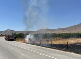 Φωτιά απείλησε καλλιέργειες έξω από τον Τύρναβο – Στο σημείο η Πυροσβεστική (ΦΩΤΟ)