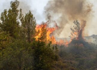 Λάρισα: Μεγάλη επιχείρηση της Πυροσβεστικής για πυρκαγιά στην Άκρη Ελασσόνας