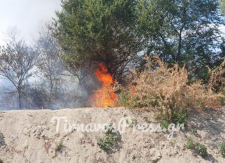 Σε επιφυλακή οι πυροσβέστες για αναζωπυρώσεις στον Τύρναβο, εκεί όπου ξέσπασε φωτιά (ΦΩΤΟ – ΒΙΝΤΕΟ)