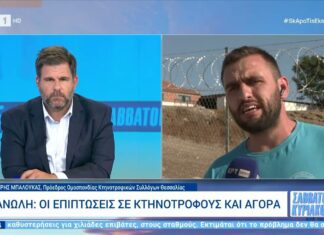 Πανώλη: Οι επιπτώσεις σε κτηνοτρόφους και αγορά (βίντεο)