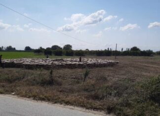 Λάρισα: Ενόχληση για το κρούσμα της πανώλης στη Φαλάνη