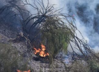 Φωτιά: Πολύ υψηλός κίνδυνος πυρκαγιάς σήμερα – Ποιες περιοχές βρίσκονται στο «πορτοκαλί»