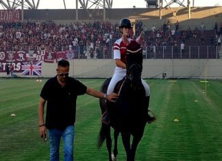 Άλογο καλπάζει στο AEL FC Arena (Video)