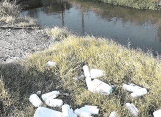 Λάρισα: Εστίες μόλυνσης από φυτοφάρμακα!