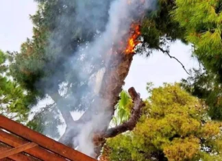 Δύο φωτιές στην περιοχή της Λάρισας – Κατακεραυνώθηκε και λαμπάδιασε δέντρο