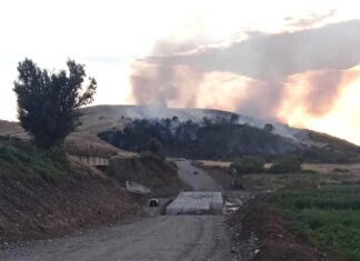 Πυρκαγιά στην Αμπελιά Φαρσάλων: Μεγάλη κινητοποίηση, απογειώθηκαν εναέρια μέσα (ΒΙΝΤΕΟ)