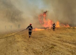 Συνελήφθη για πρόκληση πυρκαγιάς από πρόθεση σε περιοχή της Ελασσόνας