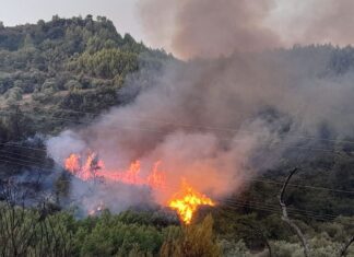 Λάρισα: Σε εξέλιξη φωτιά μεταξύ Άνω Βουναίνων και Δοξαρά