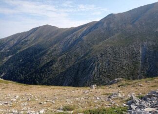«Ημέρα Βουνού» στην Ελασσόνα