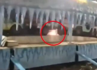 Παραλίγο νέα τραγωδία σε λούνα πάρκ στην Πιερία – Εκτροχιάστηκε τρενάκι, τραυματίστηκε στο χέρι ένα εξάχρονο παιδάκι