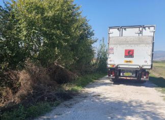 Λάρισα: Πέταξαν νεκρά πρόβατα σε χαντάκι στην περιοχή του Αμπελώνα – Άμεση κινητοποίηση των αρχών