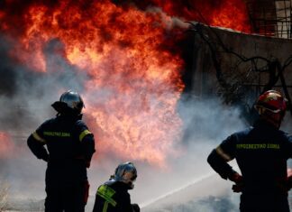 Συναγερμός: Πυρκαγιά σε κατοικία στην Καρίτσα Αγιάς – Κινητοποίηση της Πυροσβεστικής