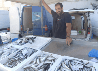Μουδιασμένοι οι Λαρισαίοι στην κατανάλωση ψαριών λόγω των νεκρών ψαριών στον Παγασητικό – ΦΩΤΟ
