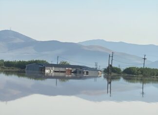«Καμπανάκι» Τσικριτσή: «Aντιπλημμυρική θωράκιση χθες, αλλιώς θα γίνουμε Βενετία…»
