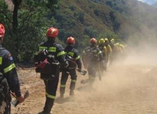 Πυρκαγιά σε δασική έκταση στα όρια Λάρισας – Πιερίας