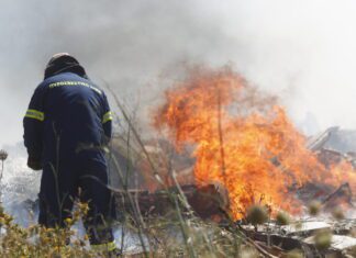 Λάρισα: Δύο πύρινα μέτωπα έφεραν στο πόδι την Πυροσβεστική