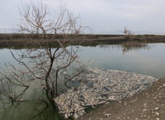Κάρλα: Η πολύπαθη λίμνη – Από την αποξήρανση μέχρι τις πλημμύρες
