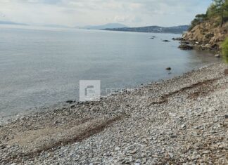 Βρέθηκε το πτώμα του 40χρονου που κάρφωσε τον πατέρα του που νοσηλεύεται στην Λάρισα – Πριν είχε τηλεφωνήσει στο Νοσοκομείο να μάθει πώς είναι