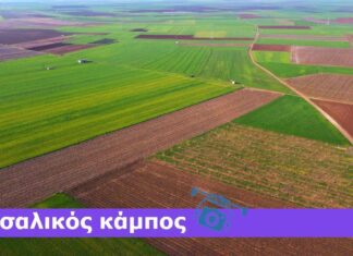 Αντί για περιβόλι της Ευρώπης ο κάμπος της Θεσσαλίας μετατρέπεται σε…μπαταρία της Ευρώπης (video)