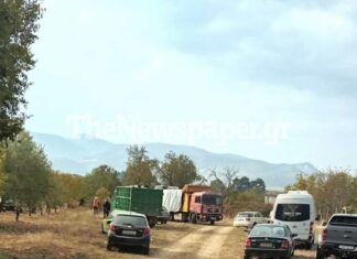 Για καύση στη Λάρισα οδεύουν τα νεκρά αιγοπρόβατα από τη Μαγνησία – Δείτε εικόνες