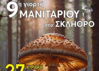 «Ραντεβού» στο Σκλήθρο Αγιάς δίνουν οι μανιταρόφιλοι – Αύριο, Κυριακή, η 9η Γιορτή Μανιταριού