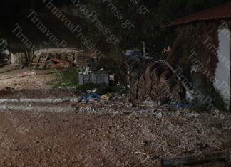 Λάρισα: Αποκλειστικό Βίντεο από τα σκυλιά που κατασπάραξαν την γυναίκα στα Πλατανούλια