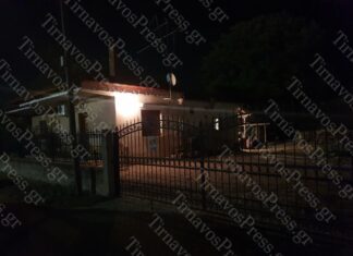 Λάρισα: Νέες πληροφορίες για τον τραγικό θάνατο της γυναίκας από σκυλιά στα Πλατανούλια – Το είδαν μικρά παιδιά
