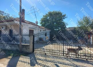Λάρισα: Η δύσκολη επιχείρηση απομάκρυνσης των σκύλων από το σπίτι στα Πλατανούλια μετά το θανατηφόρο συμβάν