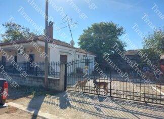 Λάρισα-Πλατανούλια: Βίντεο και Φωτογραφίες από τα σκυλιά στο σπίτι – Οι συγκλονιστικές μαρτυρίες των ανθρώπων που βρήκαν το πτώμα της γυναίκας
