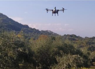 Mε drones οι ψεκασμοί κατά του δάκου στη Θεσσαλία – Πιλοτικό πρόγραμμα από την Περιφέρεια