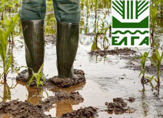 Στη διάθεση των παραγωγών της Φαλάνης τα πορίσματα εκτίμησης ζημιών του ΕΛΓΑ