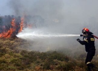 Λακωνία: Φωτιά σε περιοχή της Αερόπολης – Επιχειρούν και εναέρια μέσα