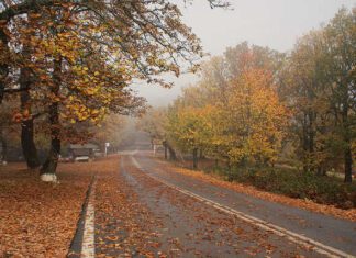 Καιρός: Ψύχρα σήμερα Σάββατο στην Λάρισα…