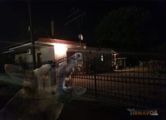Σήμερα η νεκροψία – νεκροτομή στην άτυχη γυναίκα που κατασπάραξαν σκυλιά – Πάλευε μαζί τους για τουλάχιστον μισή ώρα