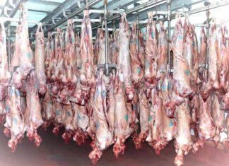 Διεύθυνση Κτηνιατρικής Περιφέρειας Θεσσαλίας: Υπό όρους οι σφαγές αιγοπροβάτων – Οκτώ οι εστίες ευλογιάς
