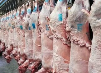 Στο 1.07 εκ. € το χρέος των διαδημοτικών σφαγείων Τυρνάβου – Ερχονται ορκωτοί λογιστές για το πόρισμα της εκκαθάρισης