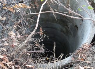 Λάρισα: Σκύλος έπεσε σε βόθρο και τoν έσωσαν