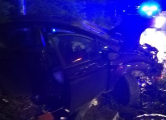 Παράξενο τροχαίο: Περιπολικό συγκρούστηκε με άλογο στον δρόμο Αμπελώνα – Τυρνάβου, τραυματίστηκε ένας αστυνομικός